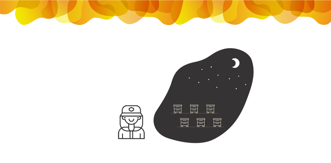 Buying Beehive Scales: A Step-by-Step Guide to Making the Best Choice